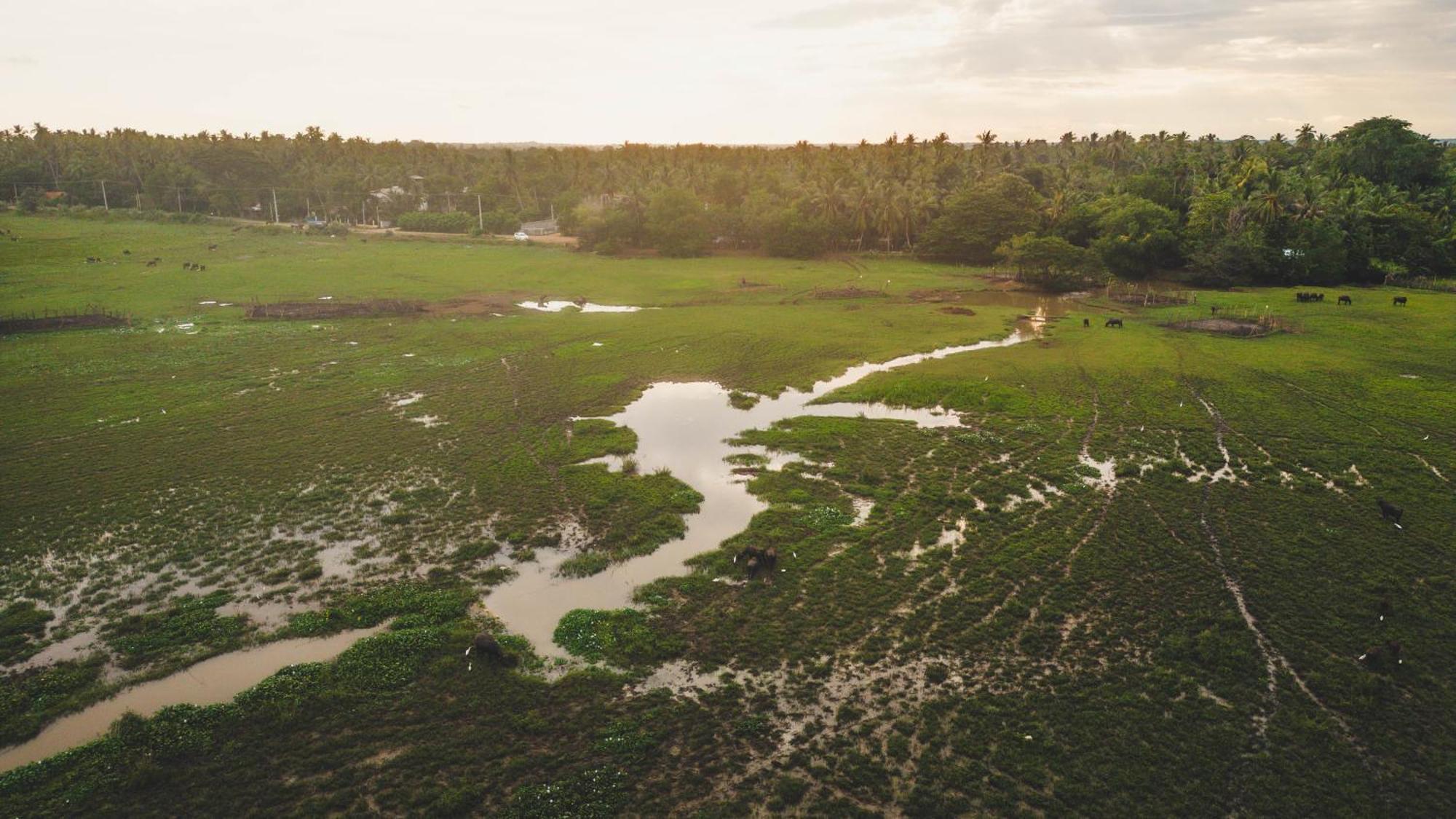 Pearl City Hotel & Yala Safari 蒂瑟默哈拉默 外观 照片