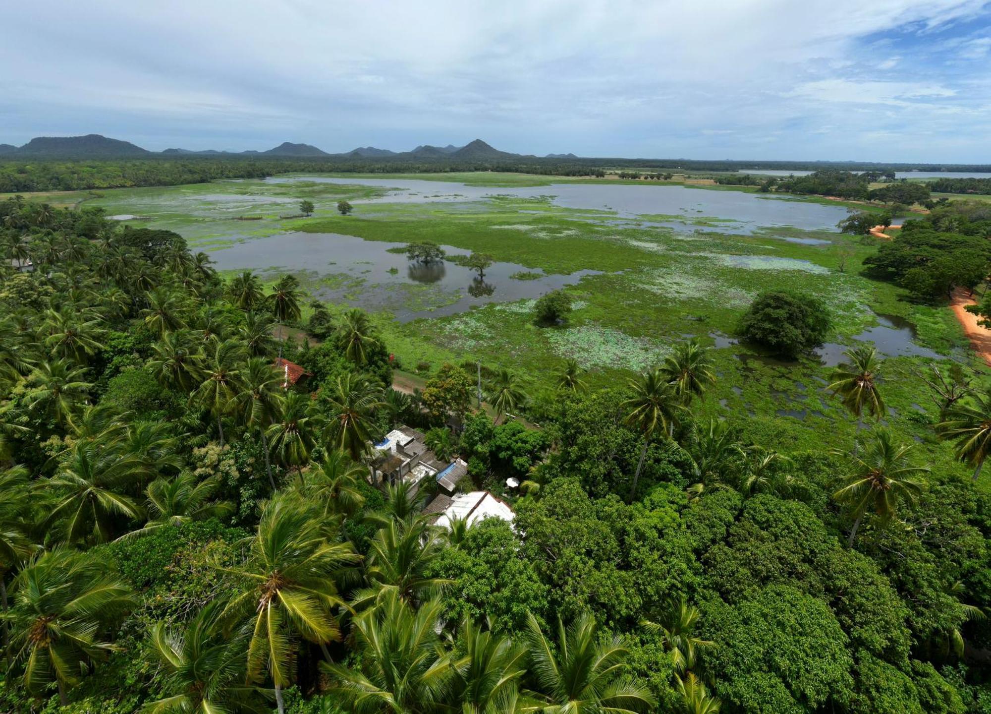 Pearl City Hotel & Yala Safari 蒂瑟默哈拉默 外观 照片